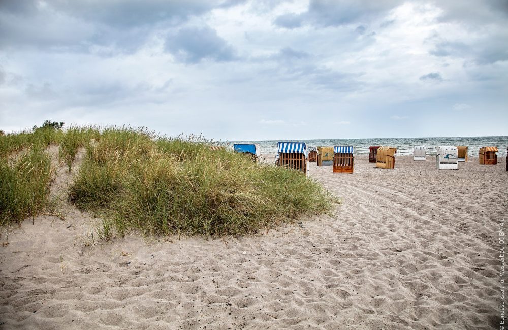 Buhnen zur Strandbefestigung in Heiligenhafen