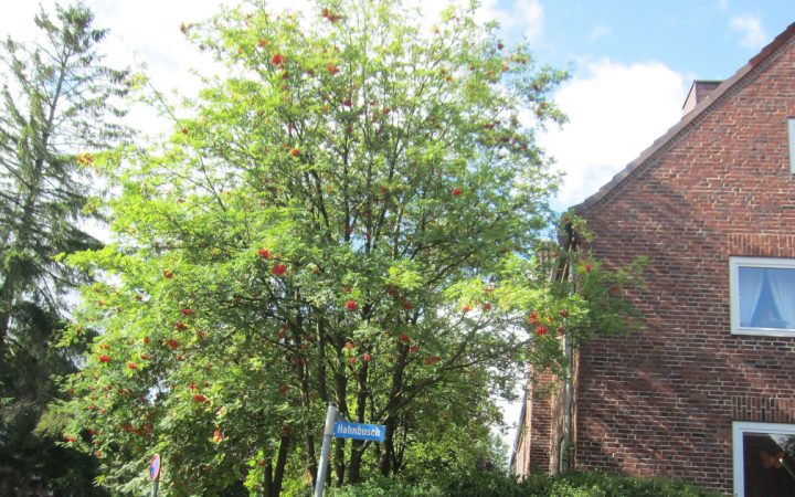 Typischer Rotklinker im Stadtteil Elmschenhagen Süd